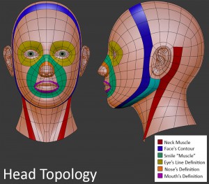 human-head-topology.jpg