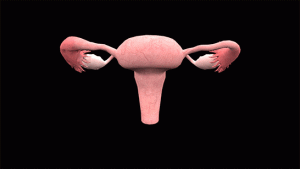 Gif.gif (502.59 KiB) Visto 8224 veces Gif.gif